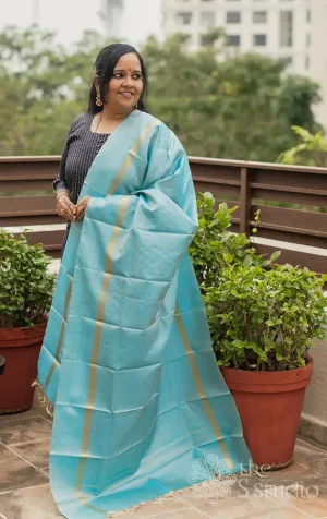 Blue checked kanchi silk dupatta