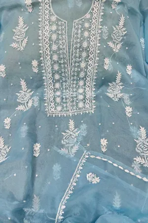 Elegant Blue Chikankari Organza Suit: Hand-Embroidered Perfection