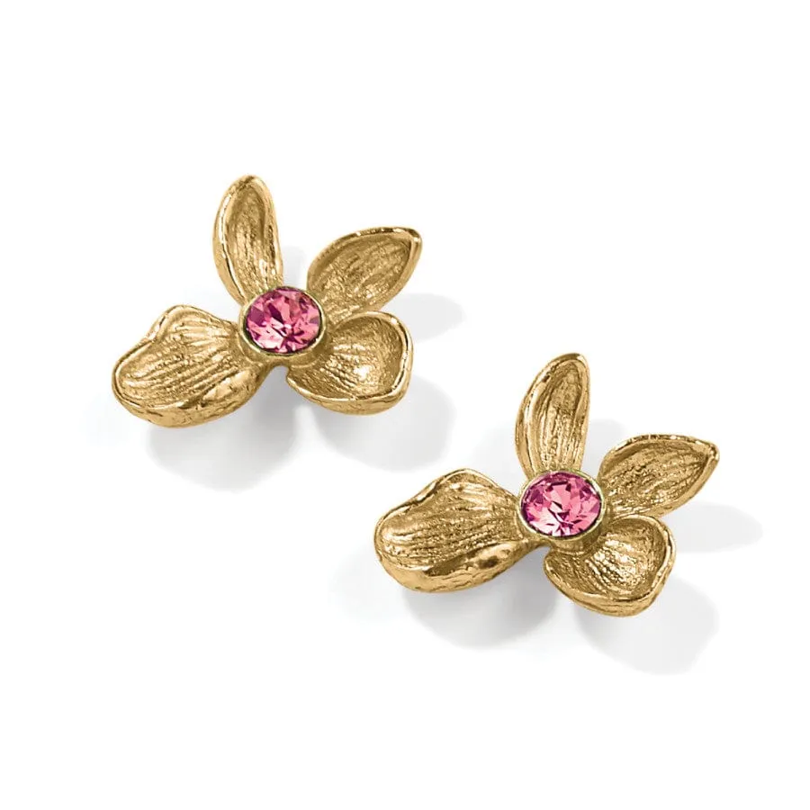 Everbloom Jardin Golden Post Earrings