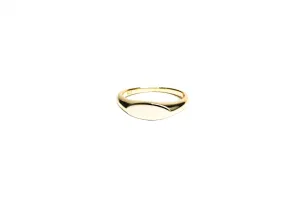 Oblong Signet Vermeil Ring